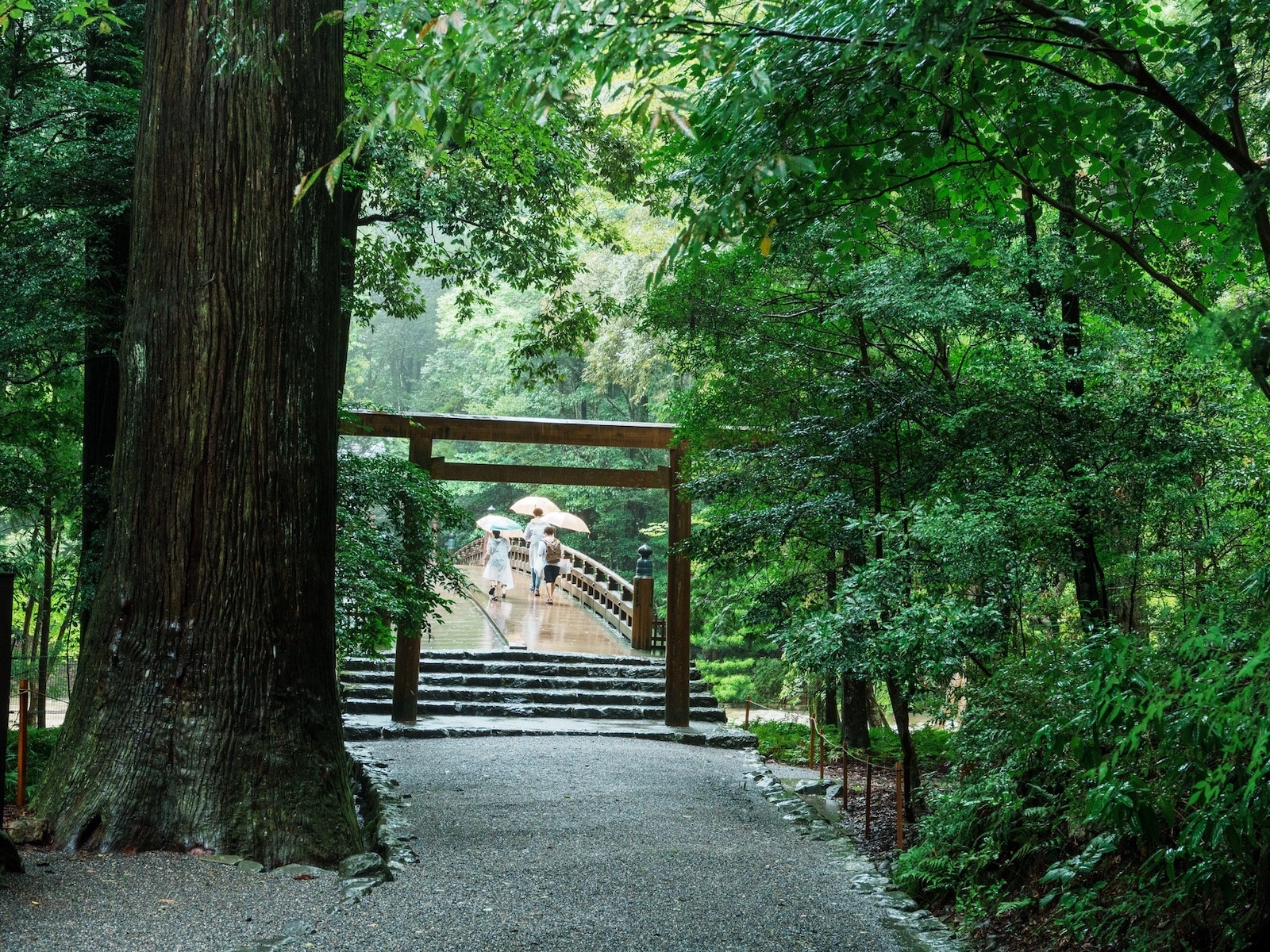 神様がいる神社で起こりやすい歓迎サインとは