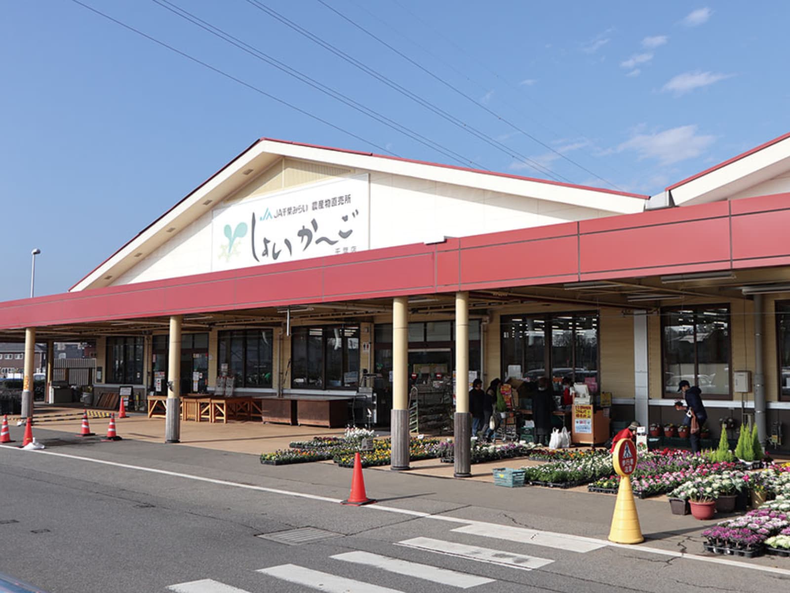 しょいか〜ご千葉店