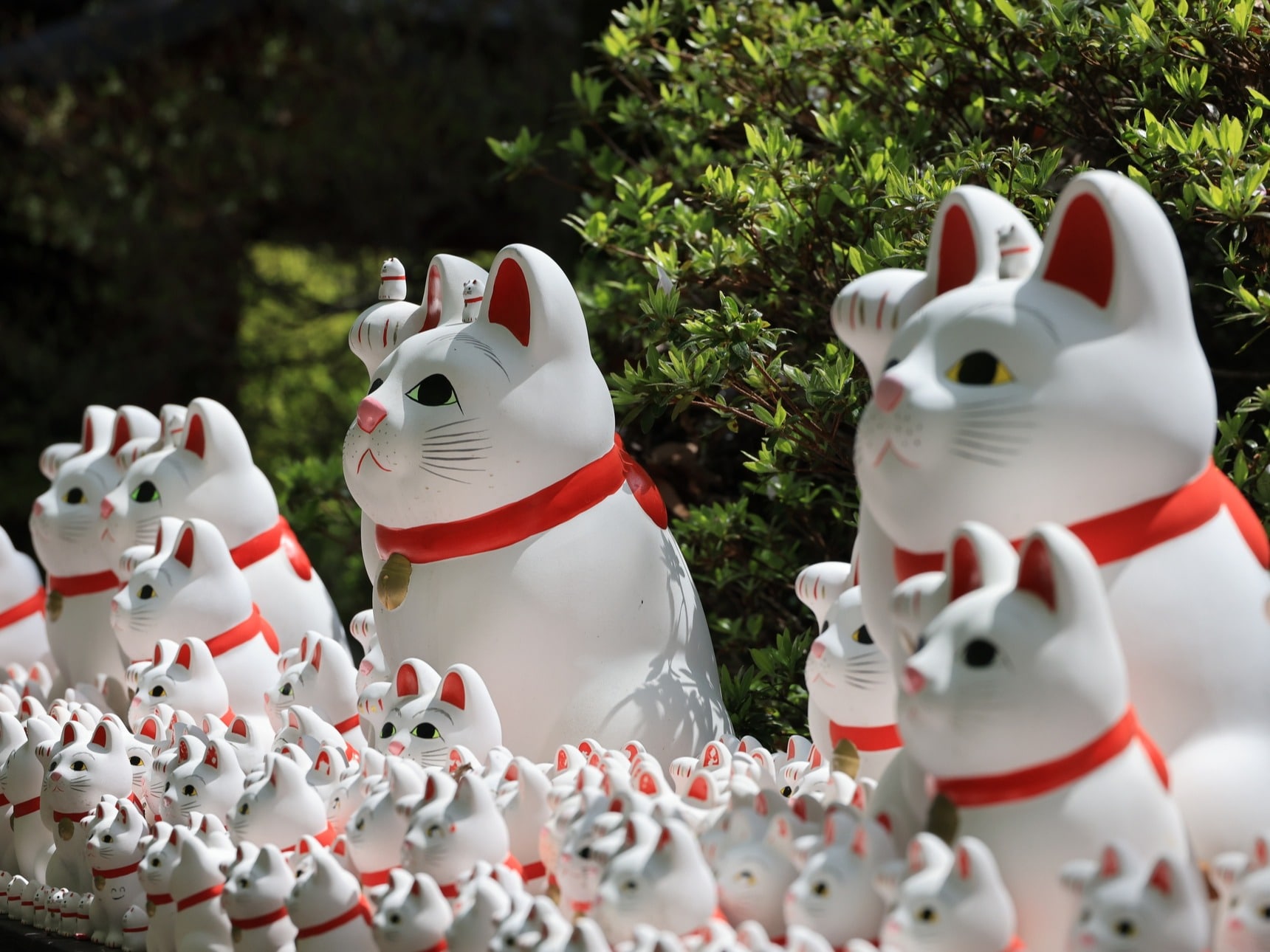 2026年2月24日は金運あ大吉日！（画像出展＊PIXTA）