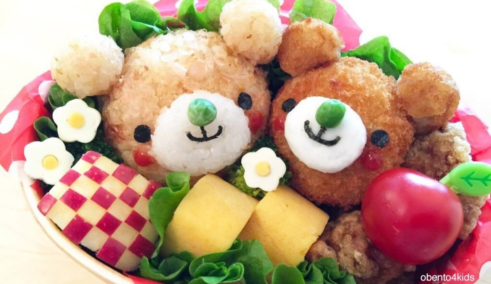 Kyaraben Lunch Box Bento | Japanese Rice Balls