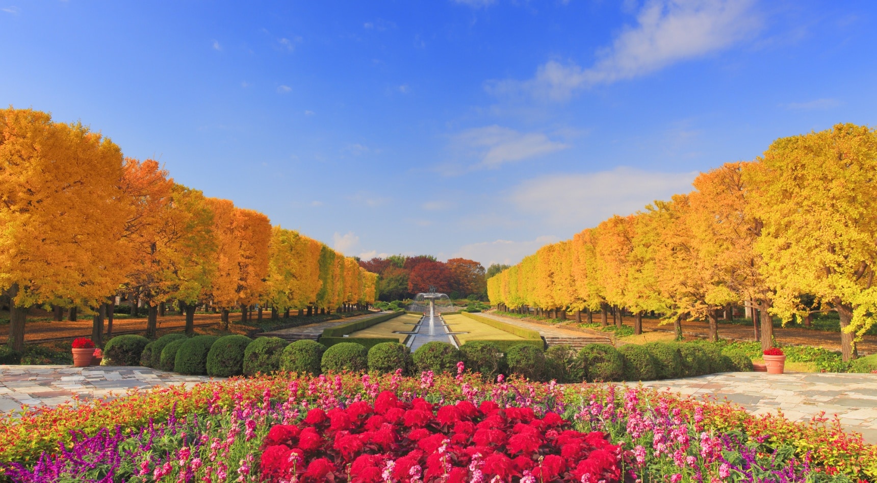 The 12 Top Spots for Autumn Colors in Japan