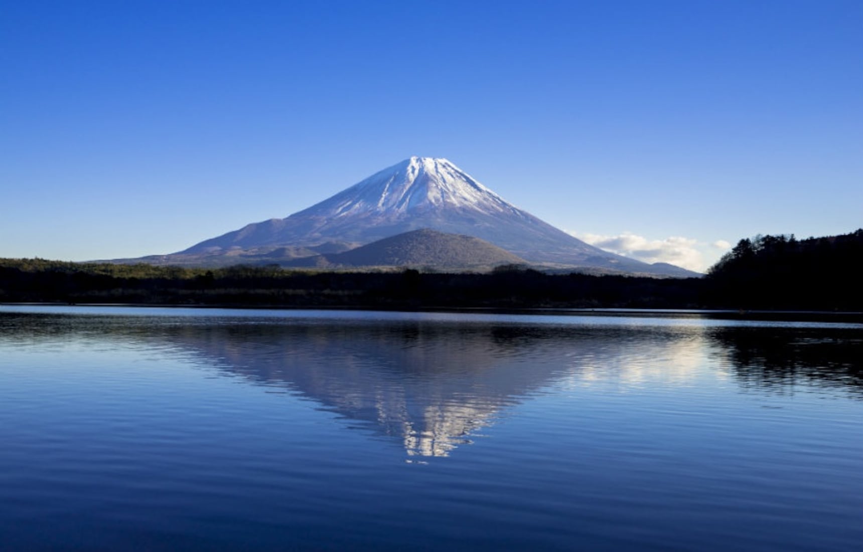 mount fuji tourist pass