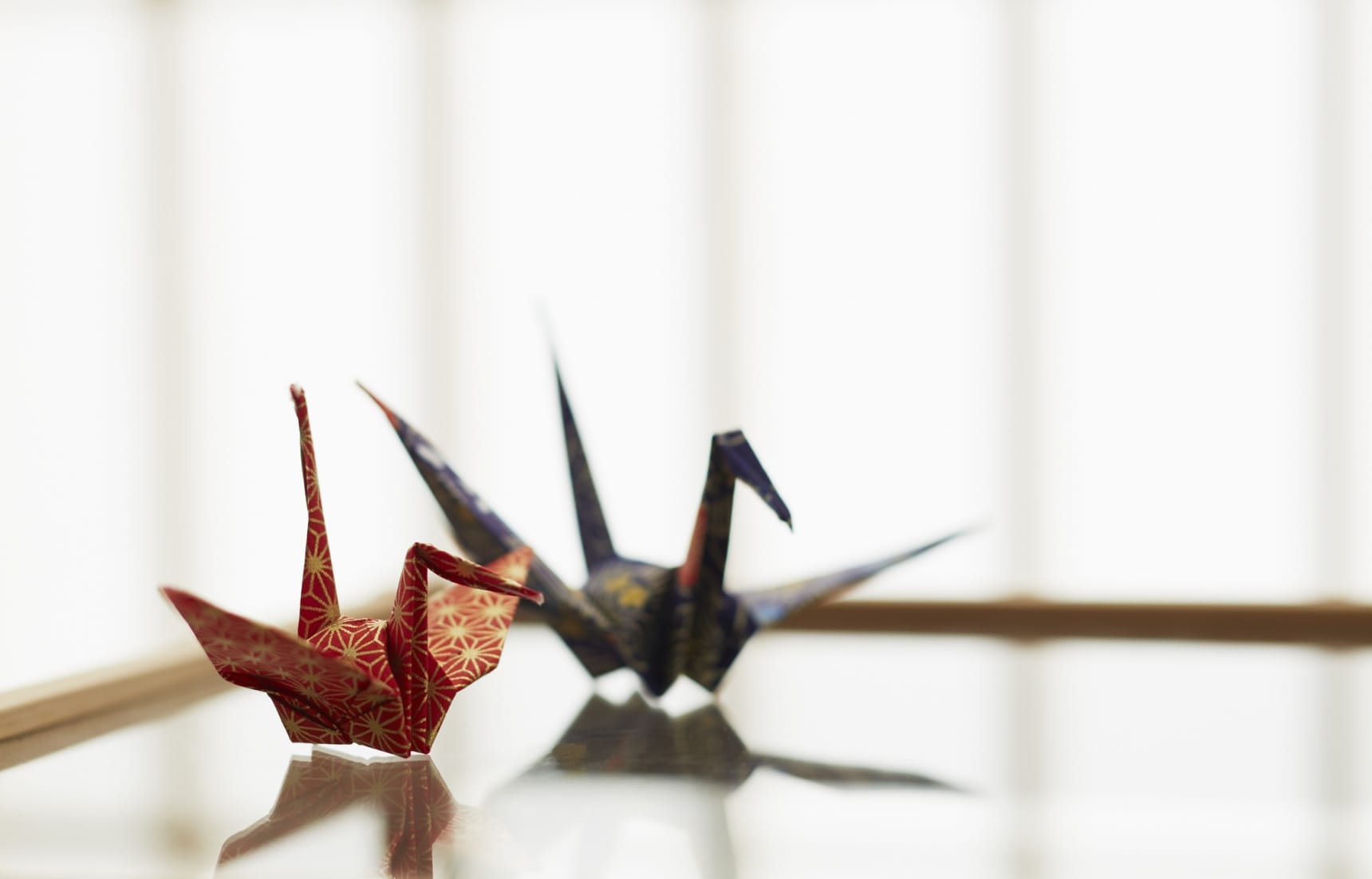 Unfolding the Mysteries of Origami