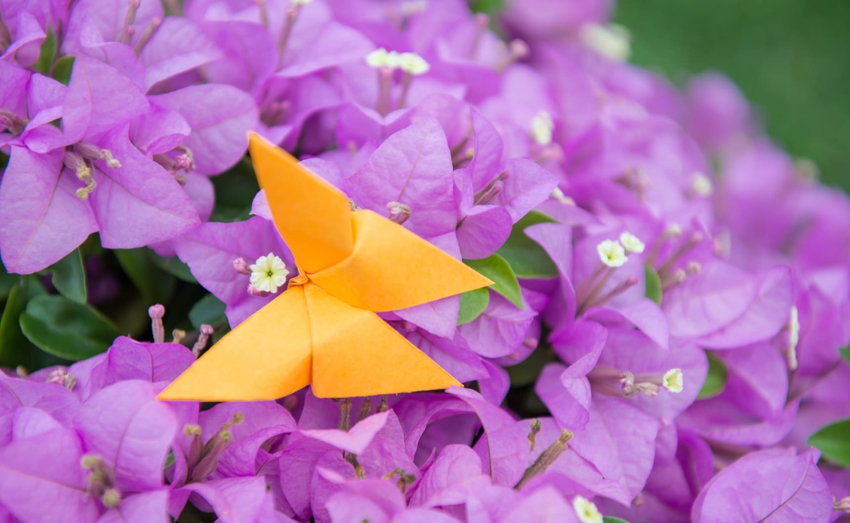 Make Your Own Beautiful Butterfly Origami