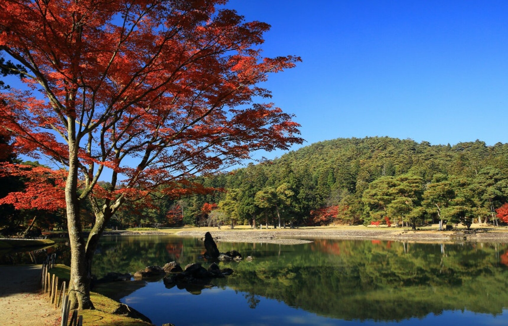 Hiraizumi: Pure Land Heritage