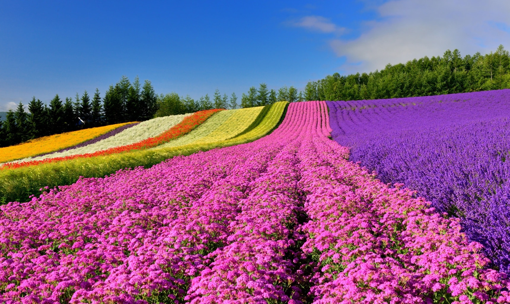 hokkaido tourist attractions spring