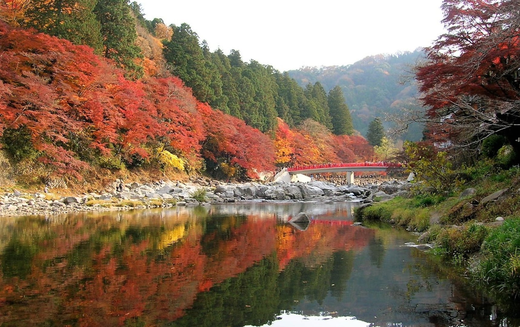 Top 3 Autumn Spots in the Tokai Area