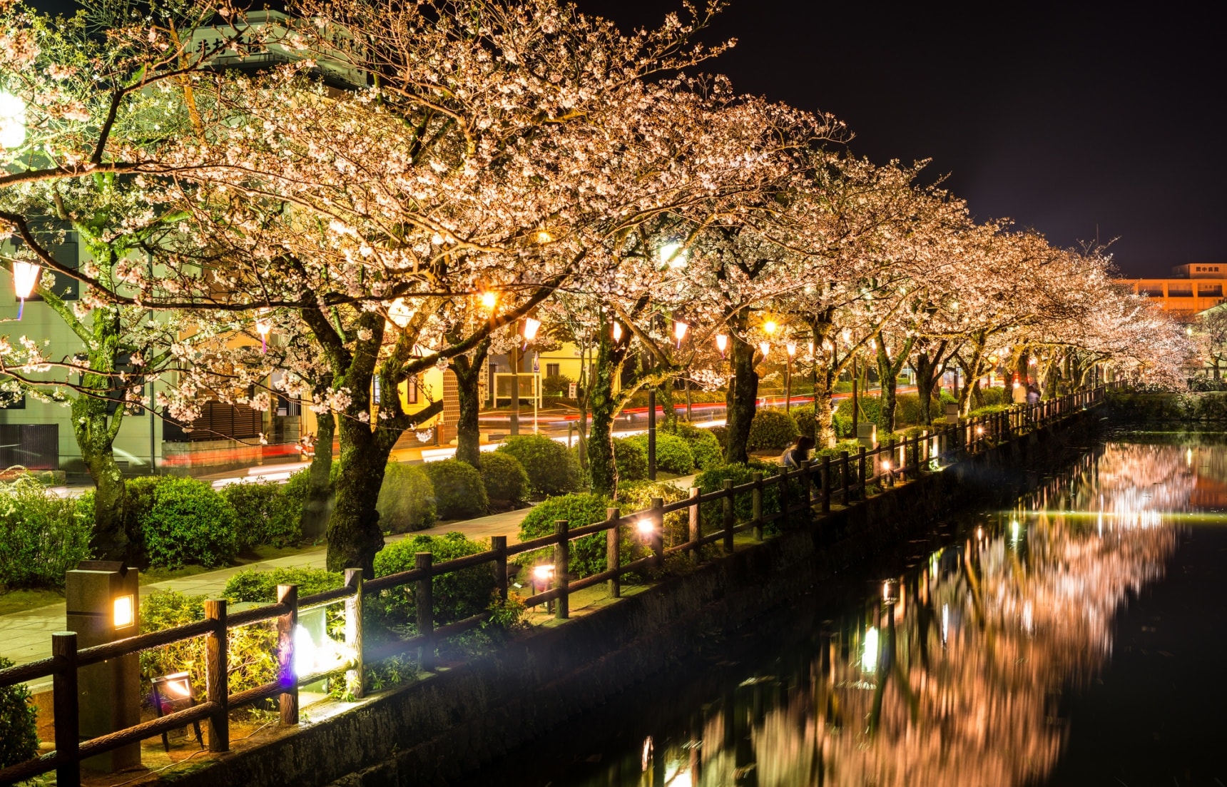 Top 10 'Hanami' Spots in Japan