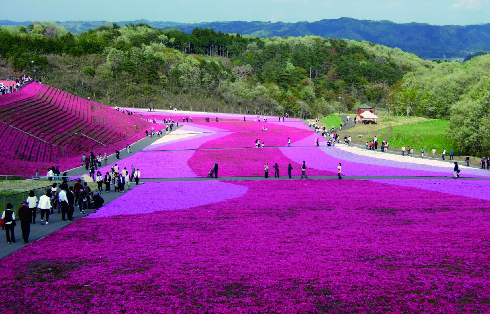 9 Things to Do in Tochigi in Spring