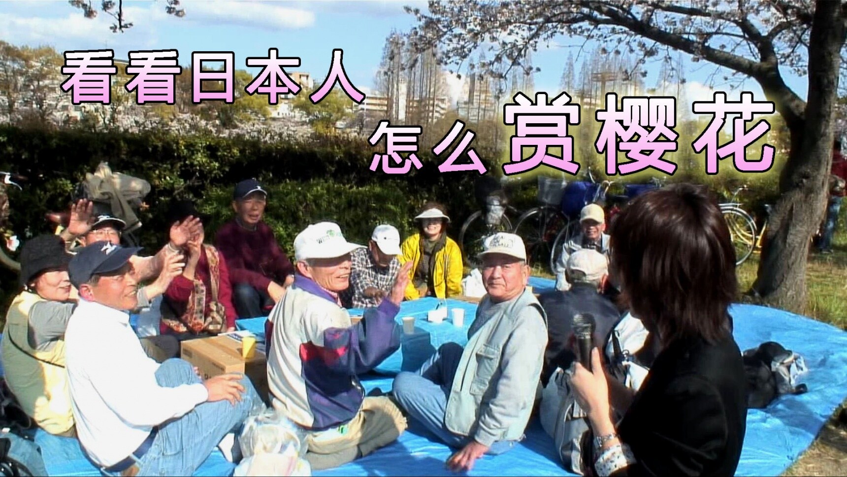 看看日本人怎么赏樱花