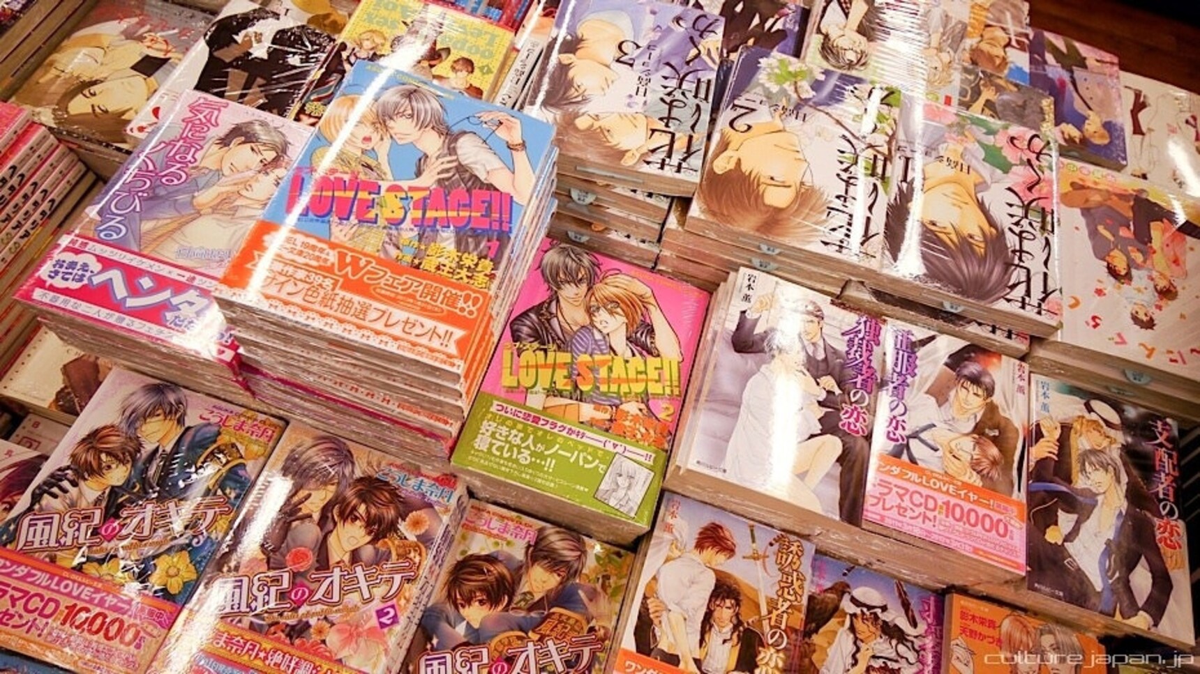 A Primer on Japanese Homoerotic Manga