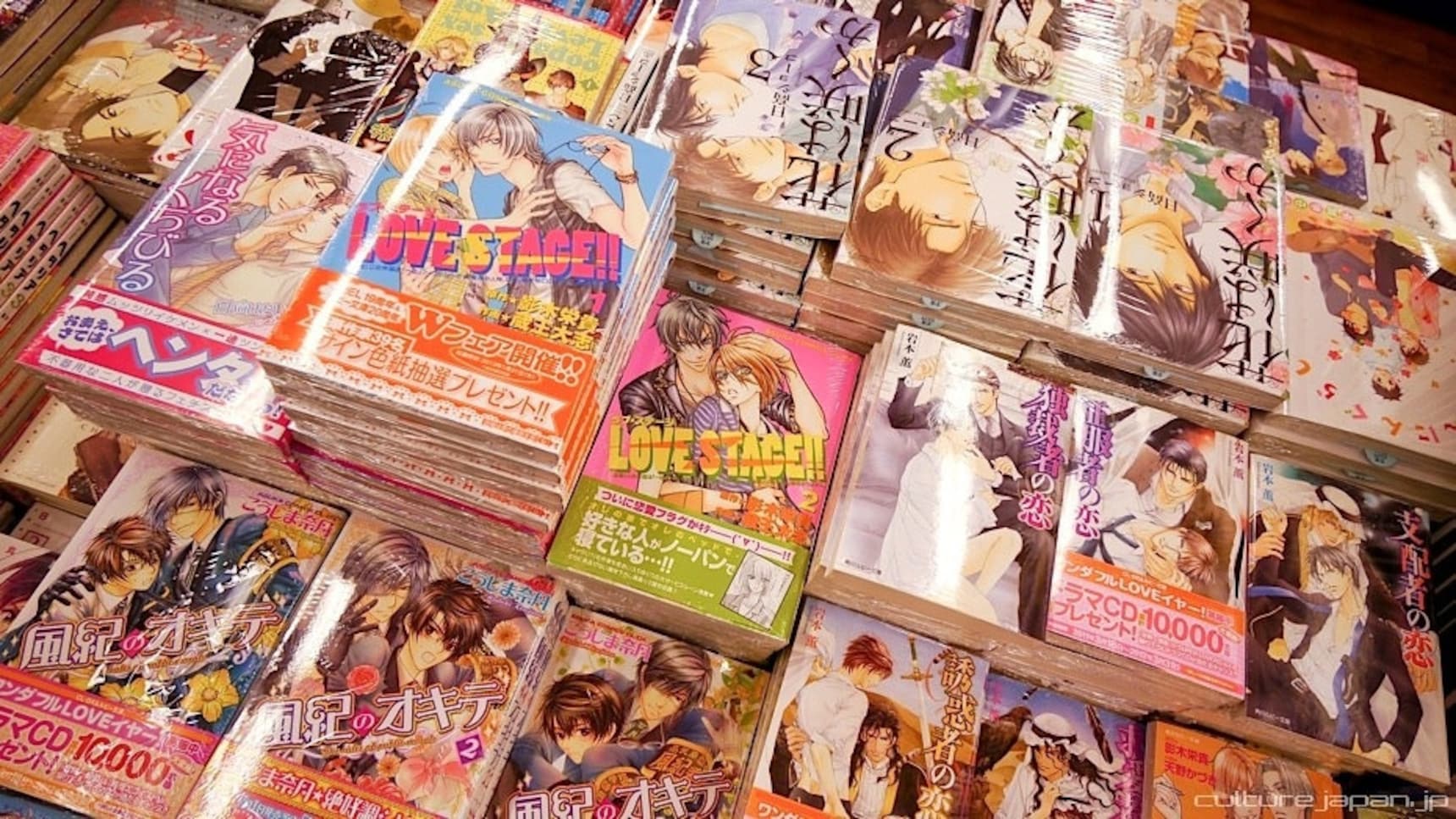 A Primer on Japanese Homoerotic Manga | All About Japan