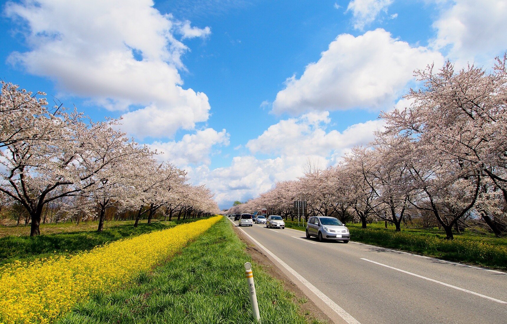 專享好景好物的春遊之旅 | 寫給初次造訪日本東北的你