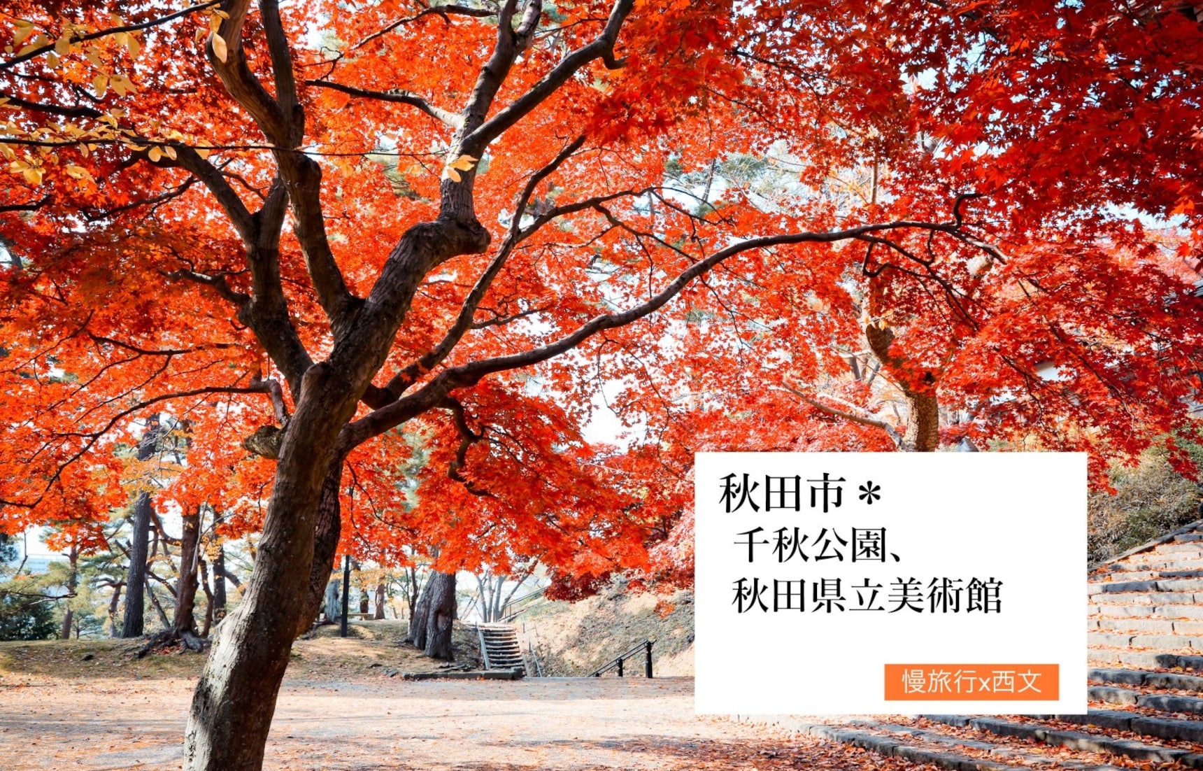 秋田賞楓去 Day 3 |比內地雞料理&千秋公園、秋田縣立美術館