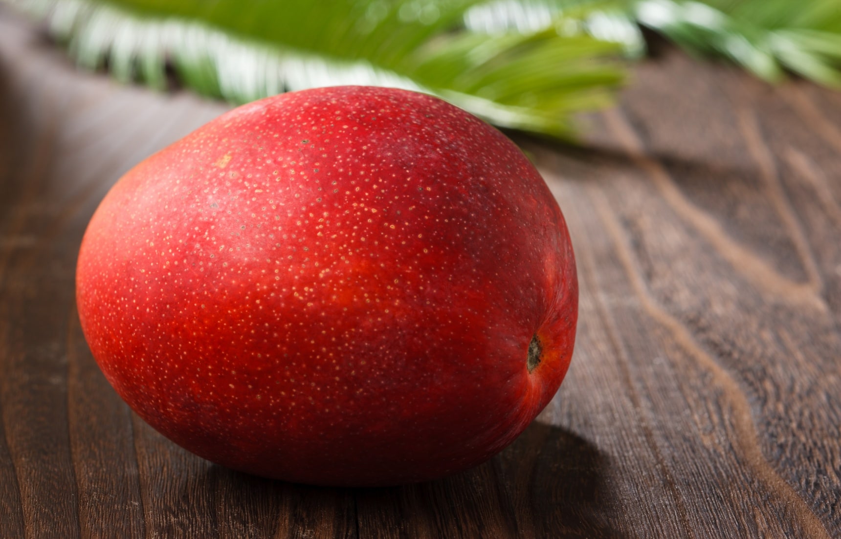 The 10 Most Expensive Fruits In The World Pulptastic