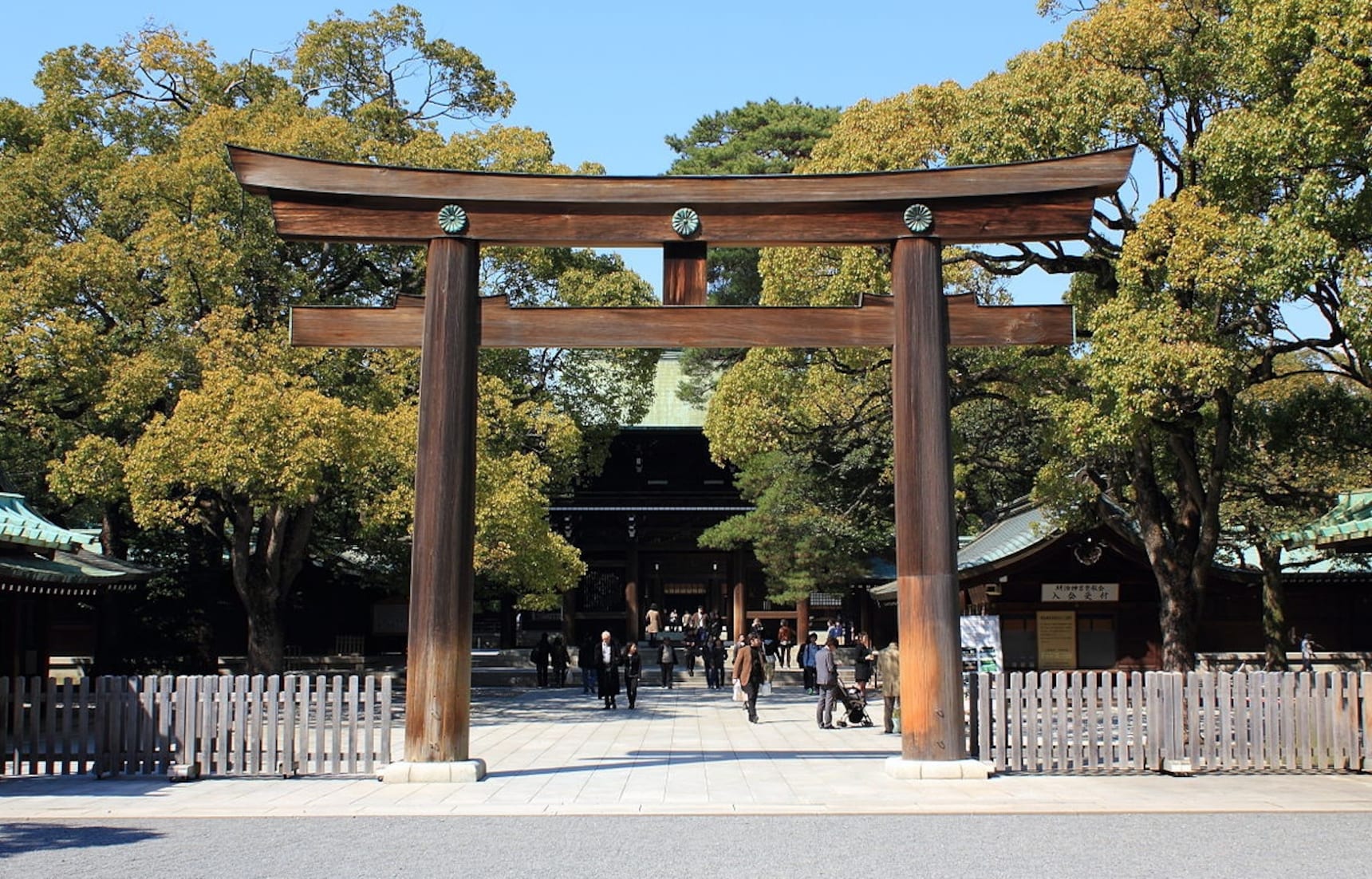 รู้รอบเรื่องศาลเจ้าเมจิ Meiji Jingu Shrine