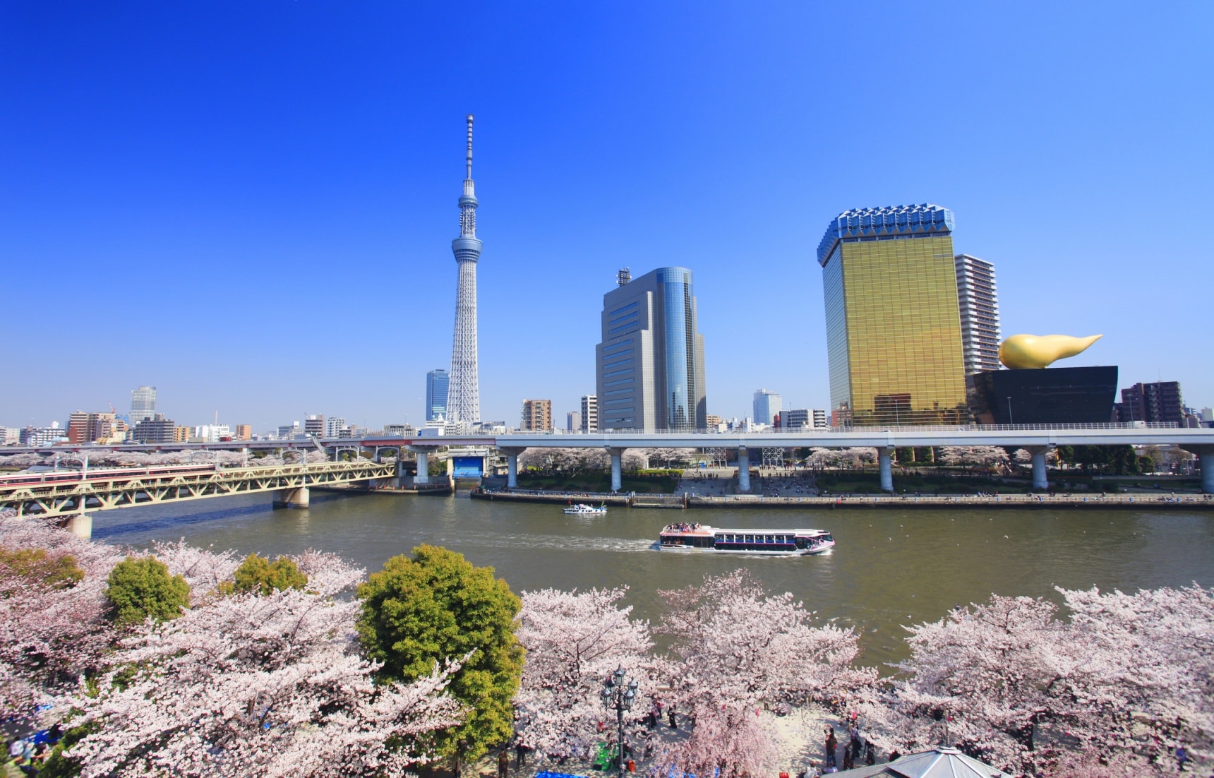 独属春日的浪漫！日本东京必打卡赏樱景点（2023最新版）