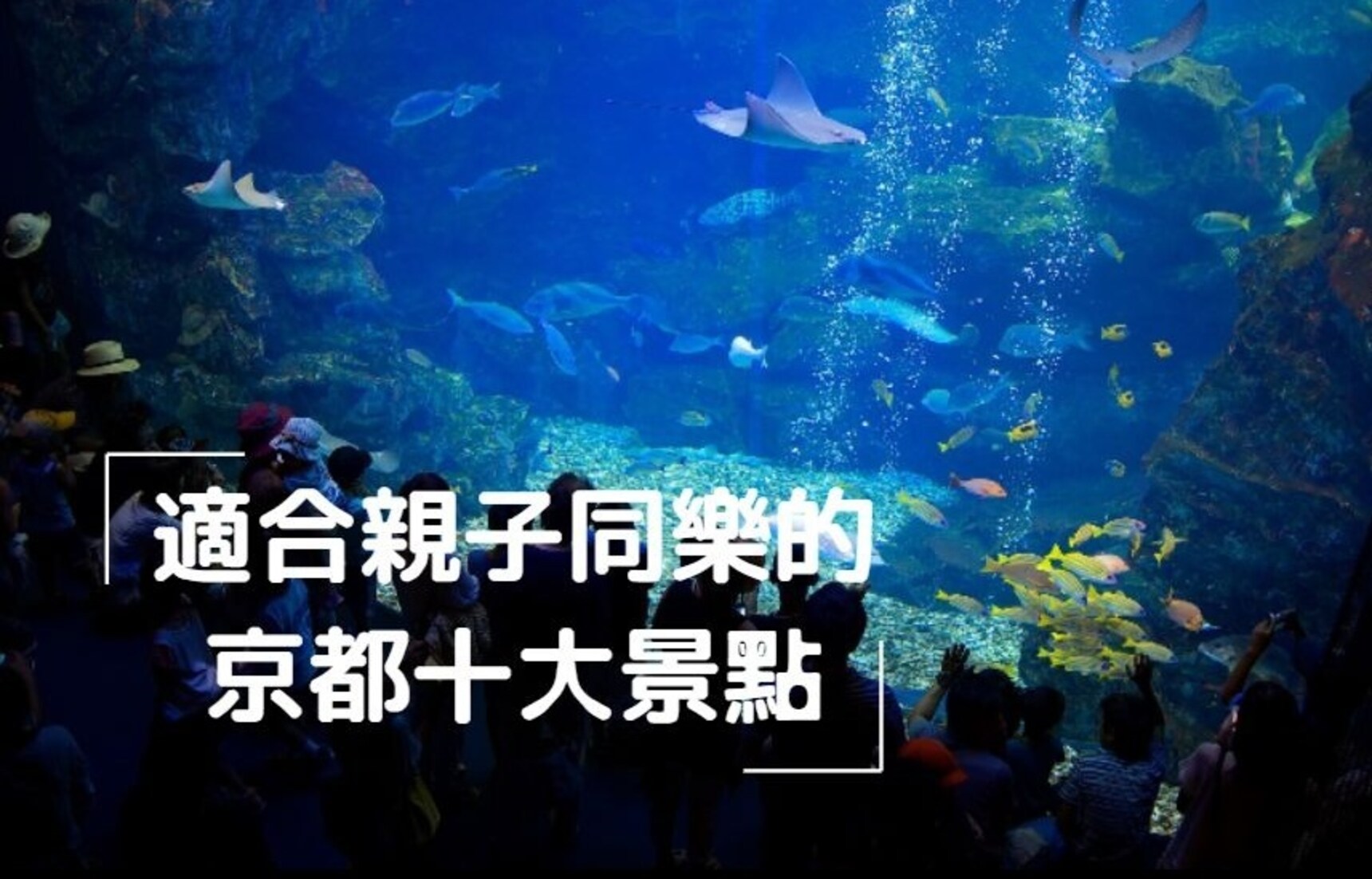 【京都景點】親子遊新選擇!主題樂園・戶外體驗・生態接觸路線推薦