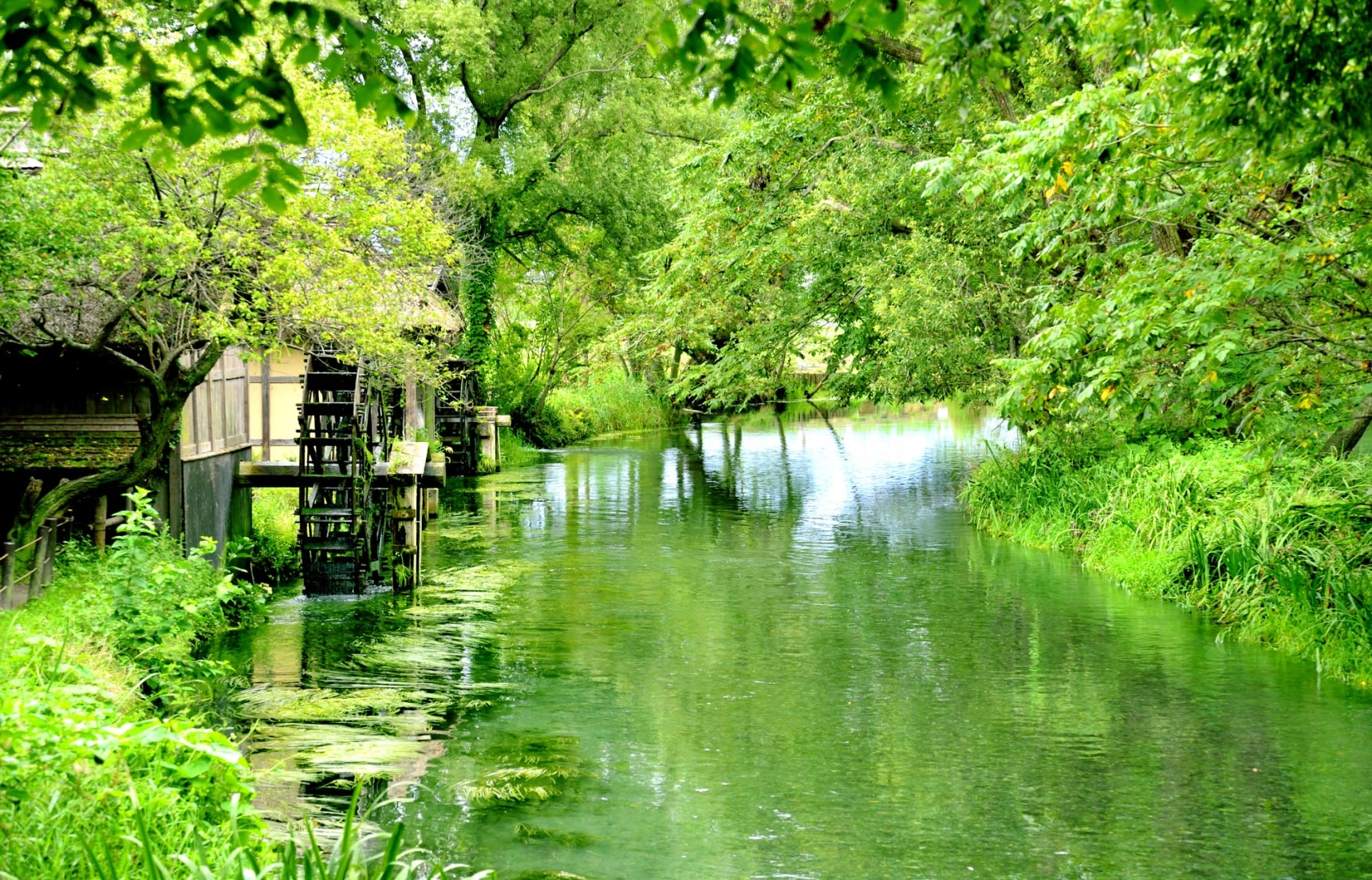 travelling japanese countryside