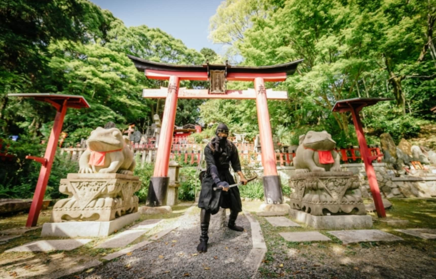 Tour Kyoto Complete Ninja Missions All About Japan