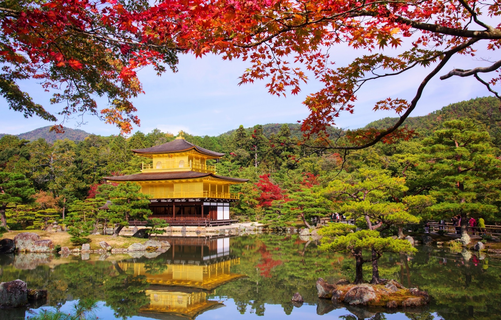 经过千百次锤炼的榜单 京都红叶景点top5 All About Japan