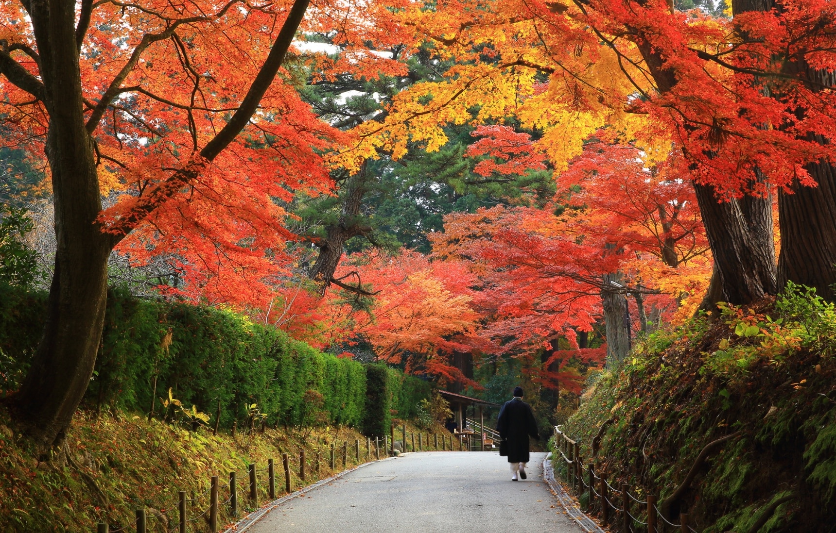 日本世界文化遺產巡禮「能量景點篇」