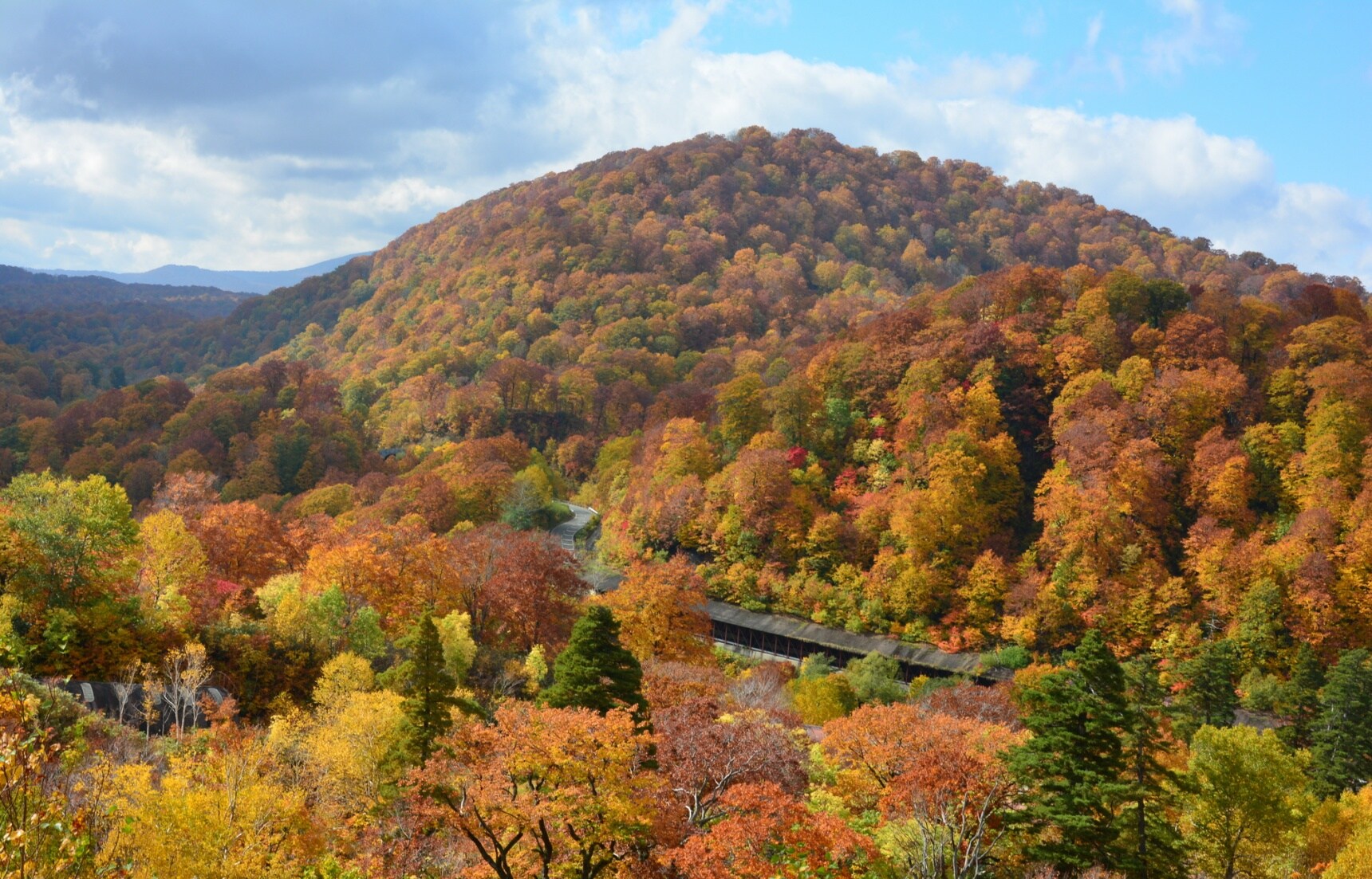 【東北自由行】秋田秋意濃!秋天賞楓泡湯住宿推薦