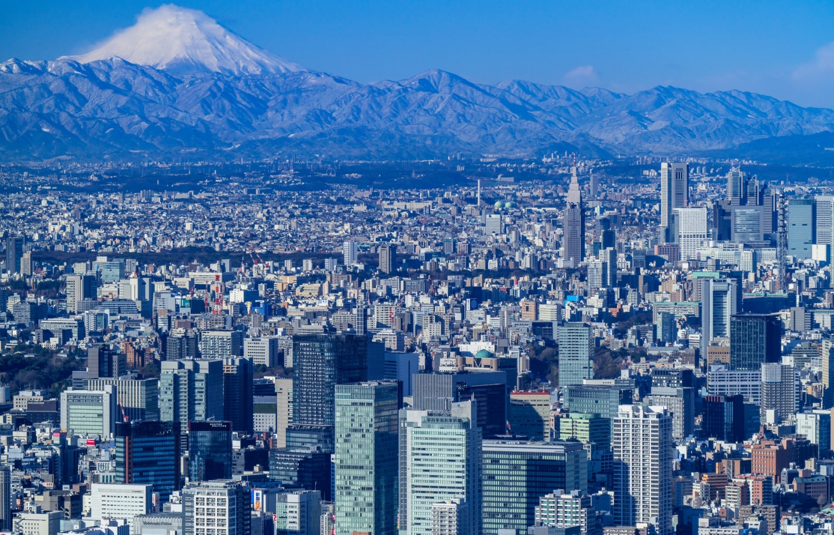 ข้อมูลการเที่ยวโตเกียวฉบับสมบูรณ์ | All About Japan