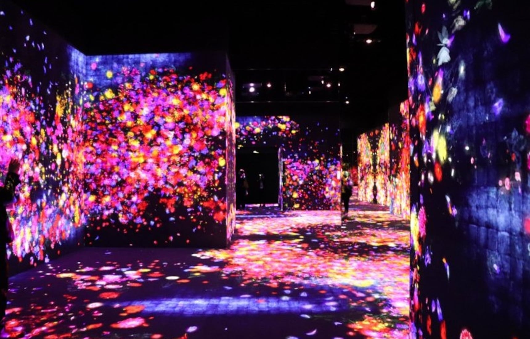 Музей teamlab. Art Museum Odaiba.