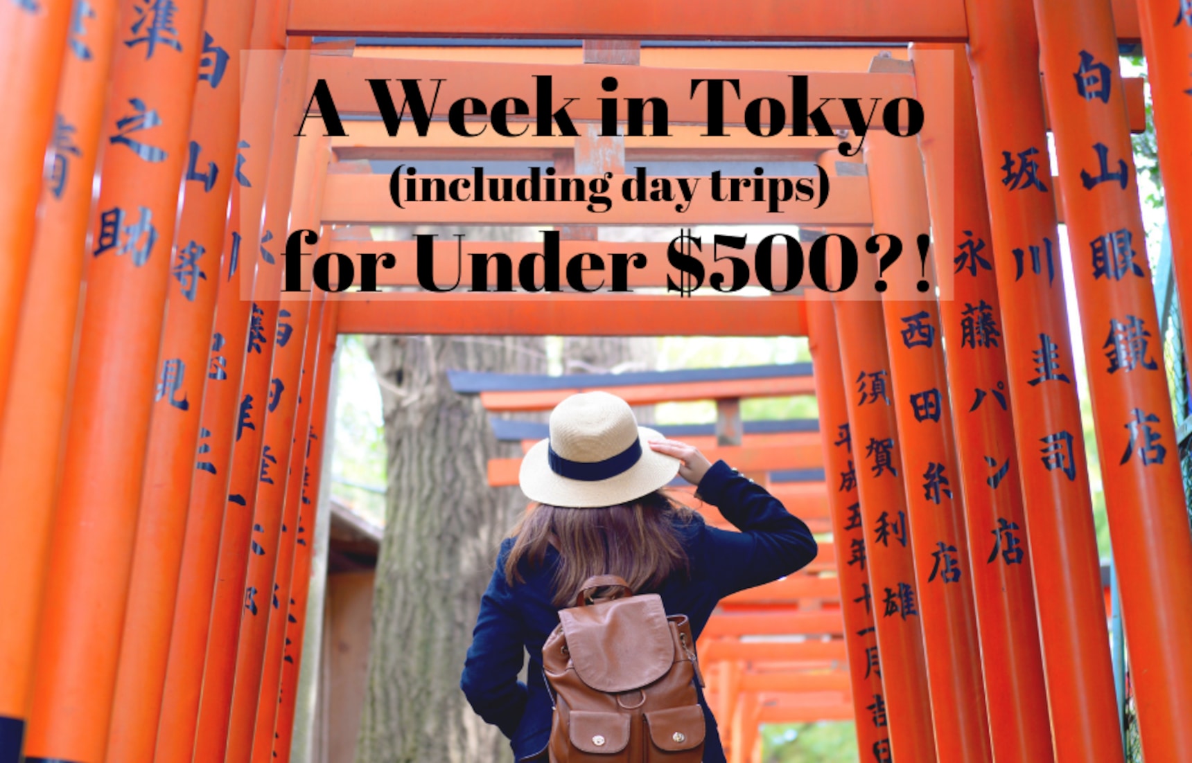 a-week-in-tokyo-day-trips-for-under-500-all-about-japan