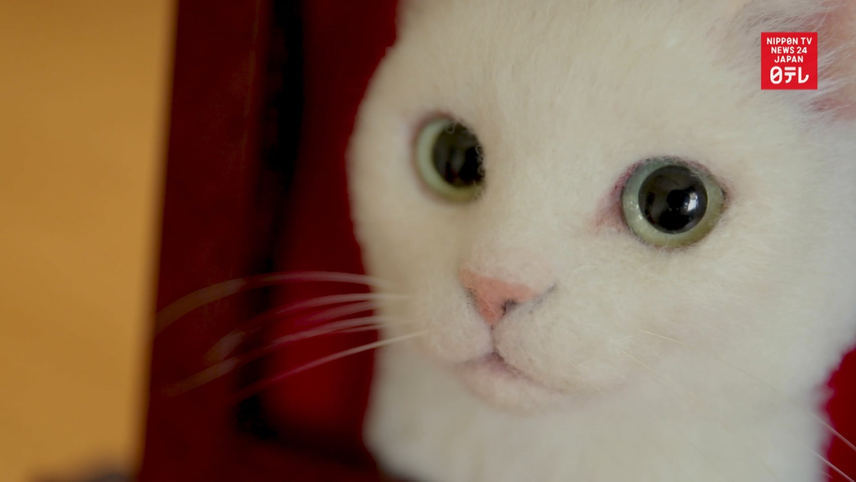 Hyper-Realistic Cat Art Helps Cope with Loss