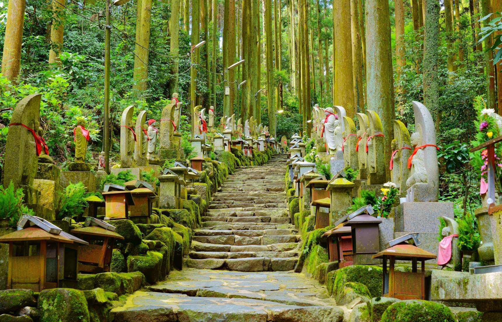 Five Secret Spots in Nara You HAVE to Visit
