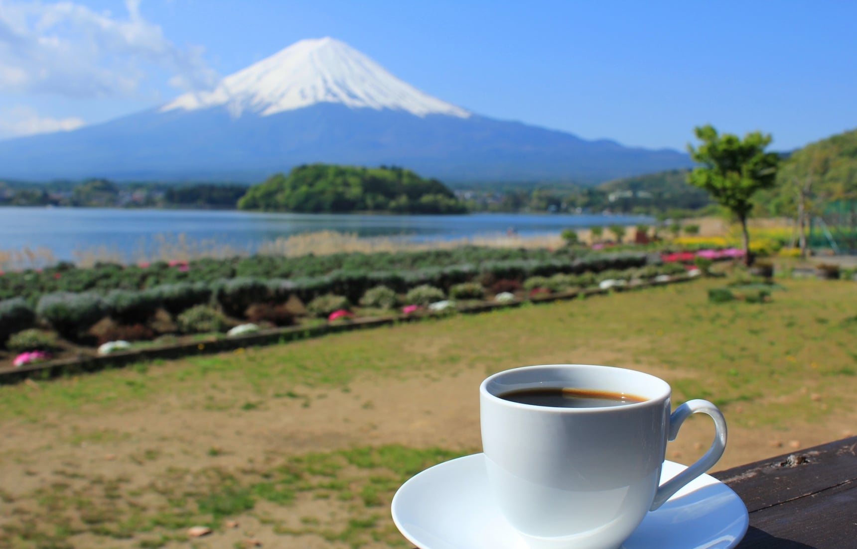 【東京出發一日小旅行】富士山美景與咖啡一次滿足！漫步河口湖望山看湖賞花悠閒遊