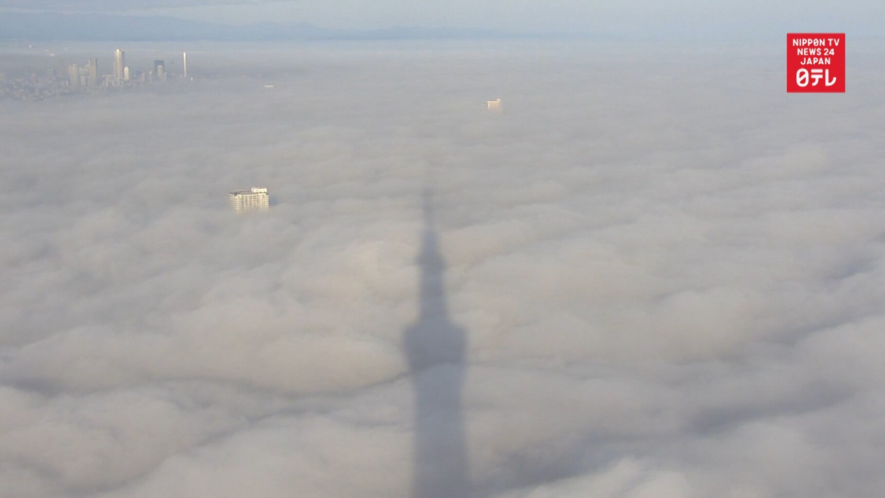 Early Morning Fog Catches Tokyo Skytree Shadow
