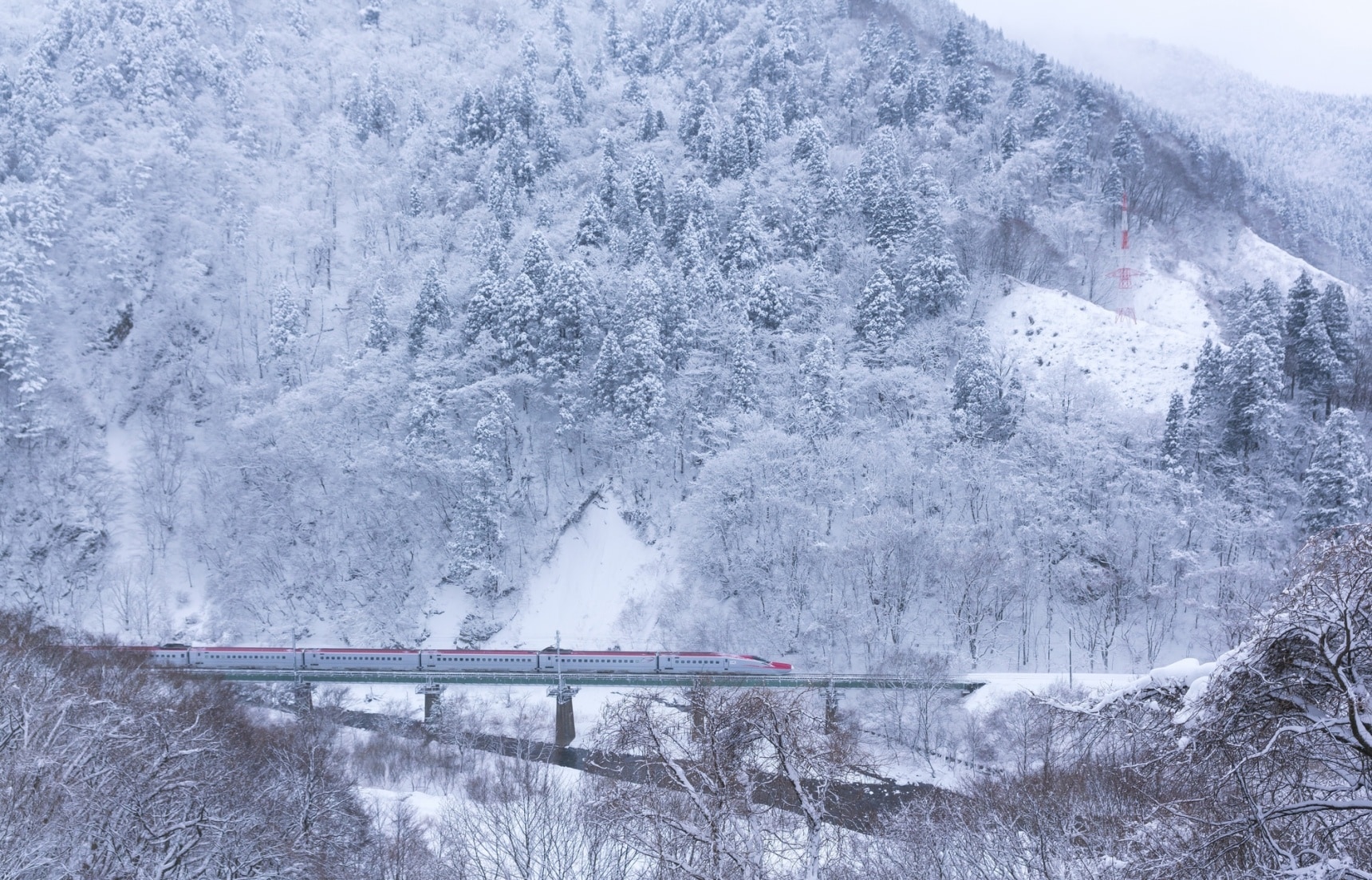 駛向冬日樂園的列車「秋田內陸線」