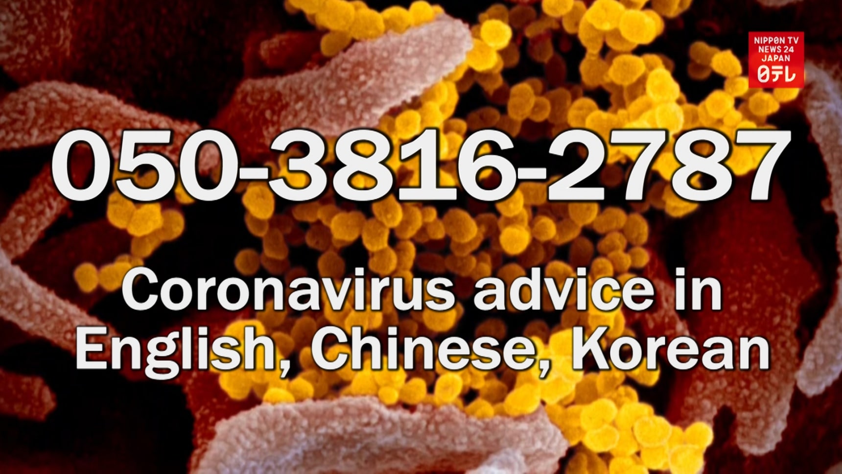 JNTO Multilingual Coronavirus Hotline