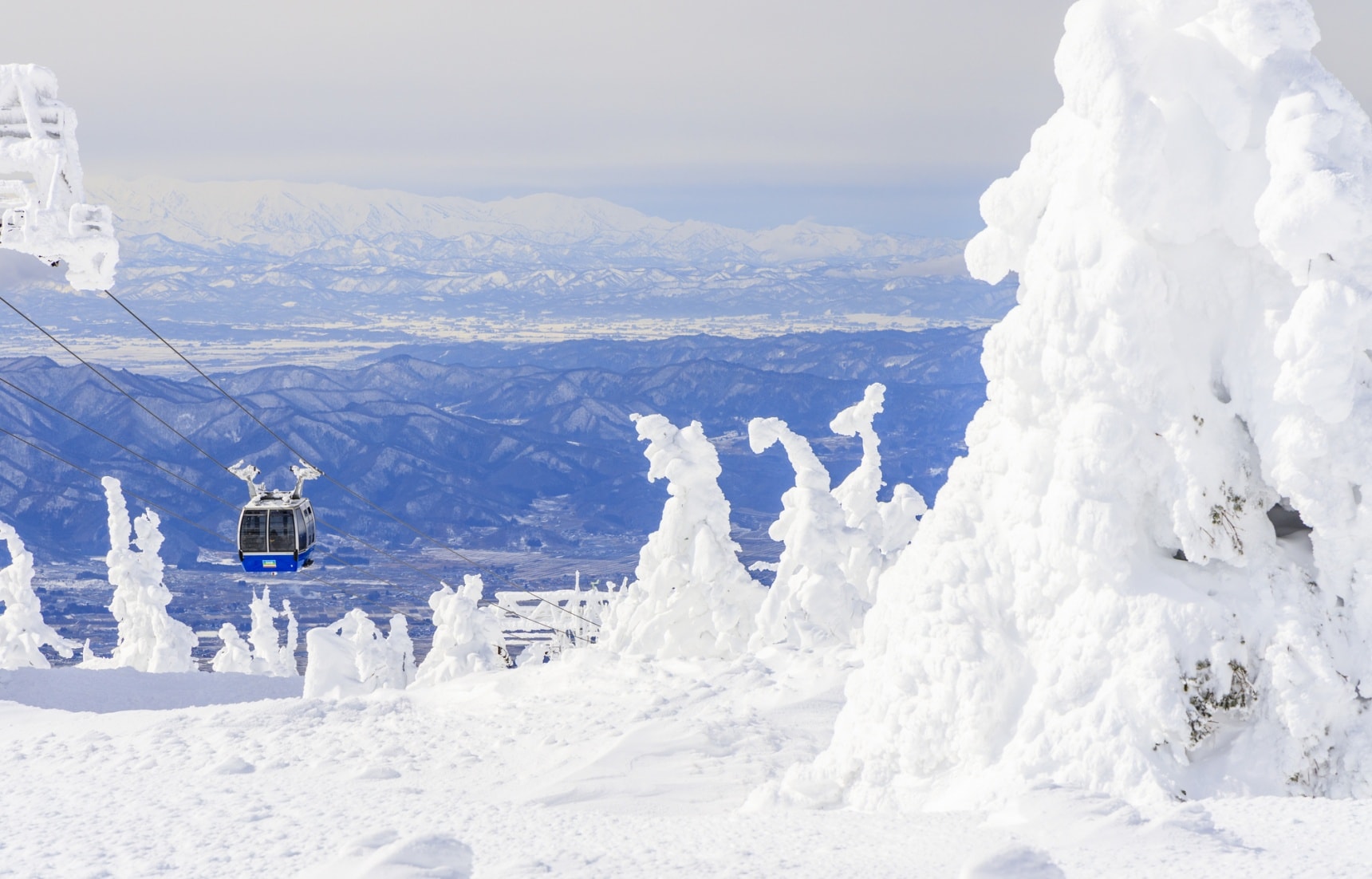 【日本東北】雪季必看奇景！守護日本海山脈上的雪怪「樹冰」