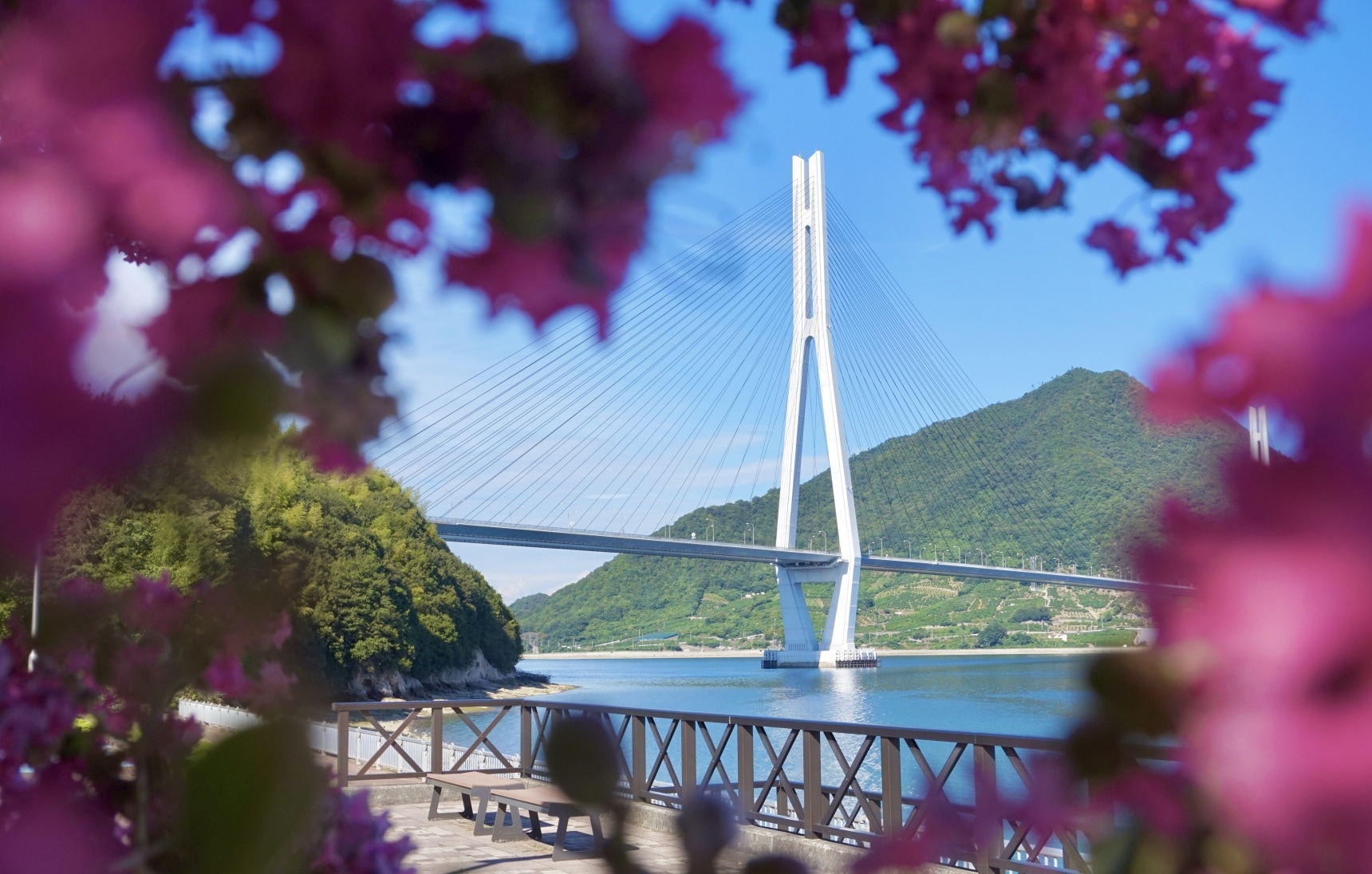 穿梭愛媛夢島海道!感受生名島・佐島・弓削島魅力的單車女子旅
