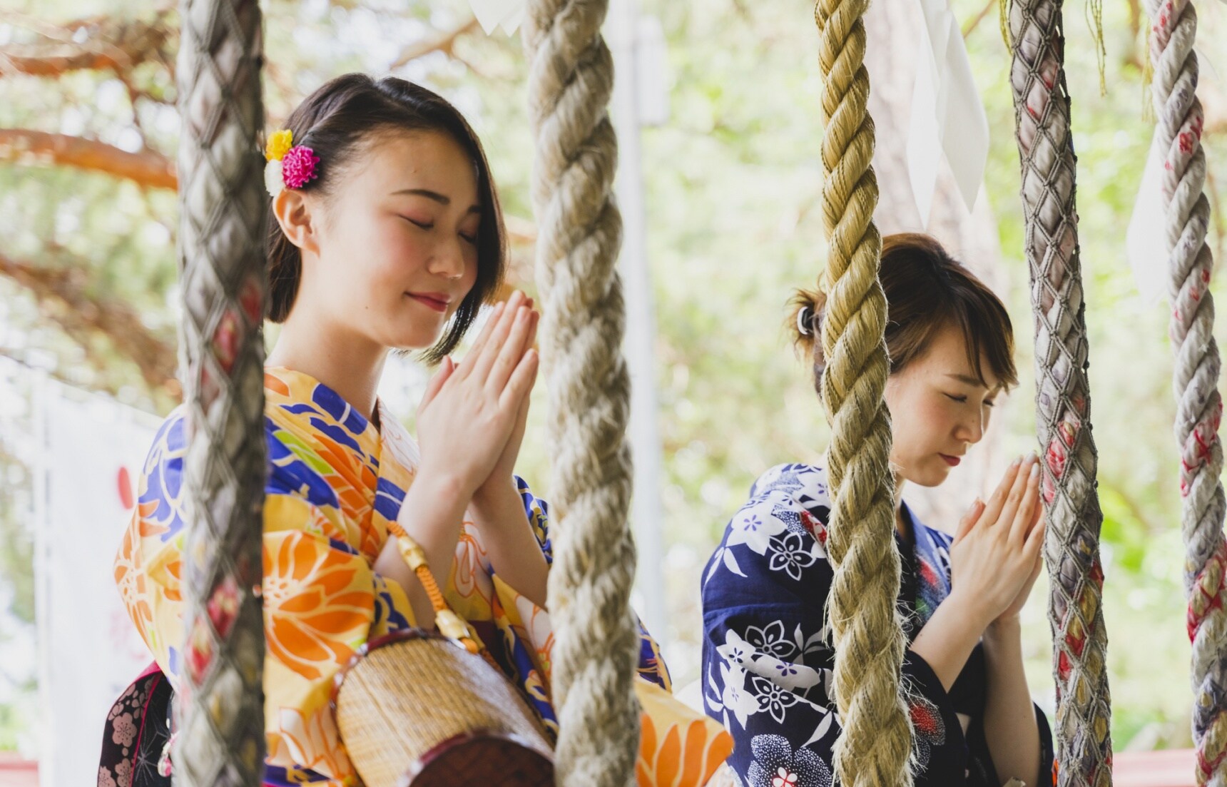 动漫连载超过40年?电视剧播500多集?日本人对传统的态度到底有多“轴”?