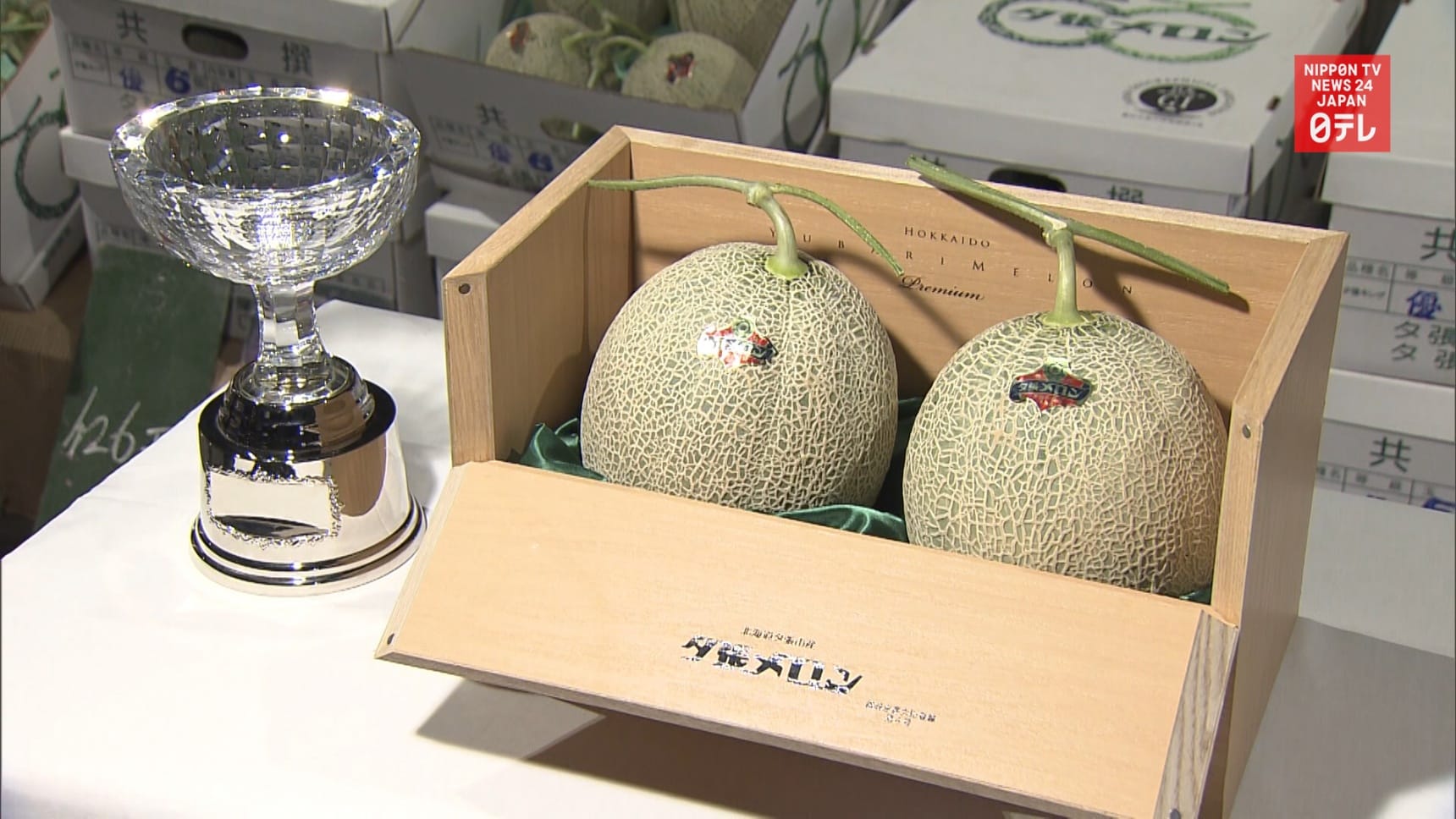 Yubari Melon Gets Fraction of Last Year Price All About Japan