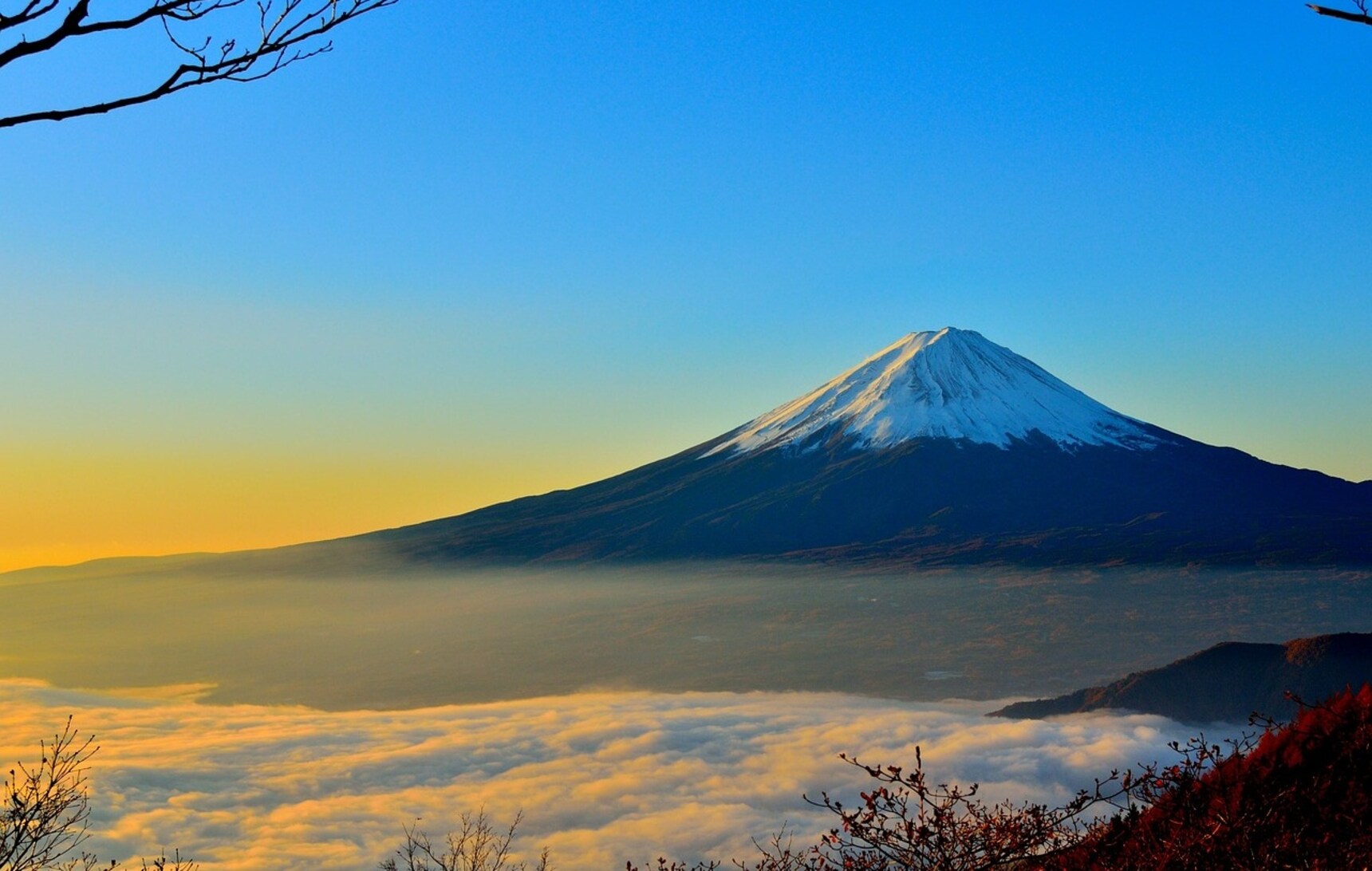 Avoiding the Crowds in Tokyo, Blog