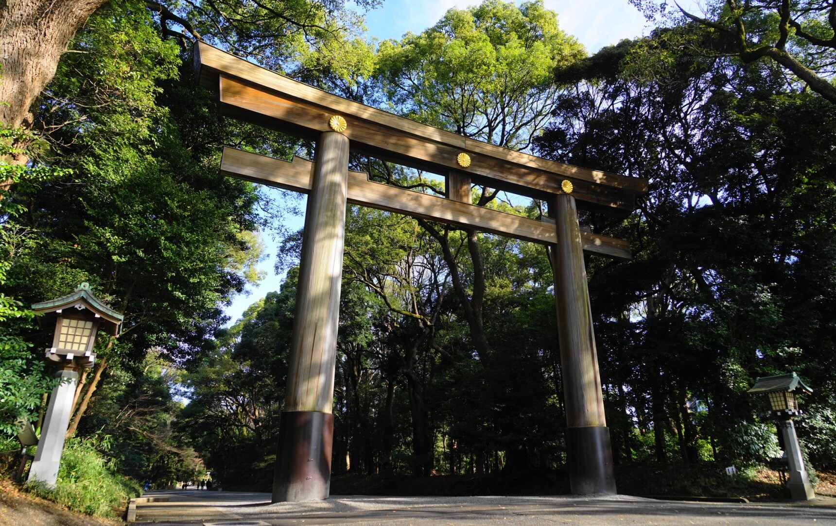 Celebrating 100 Years of Meiji Shrine