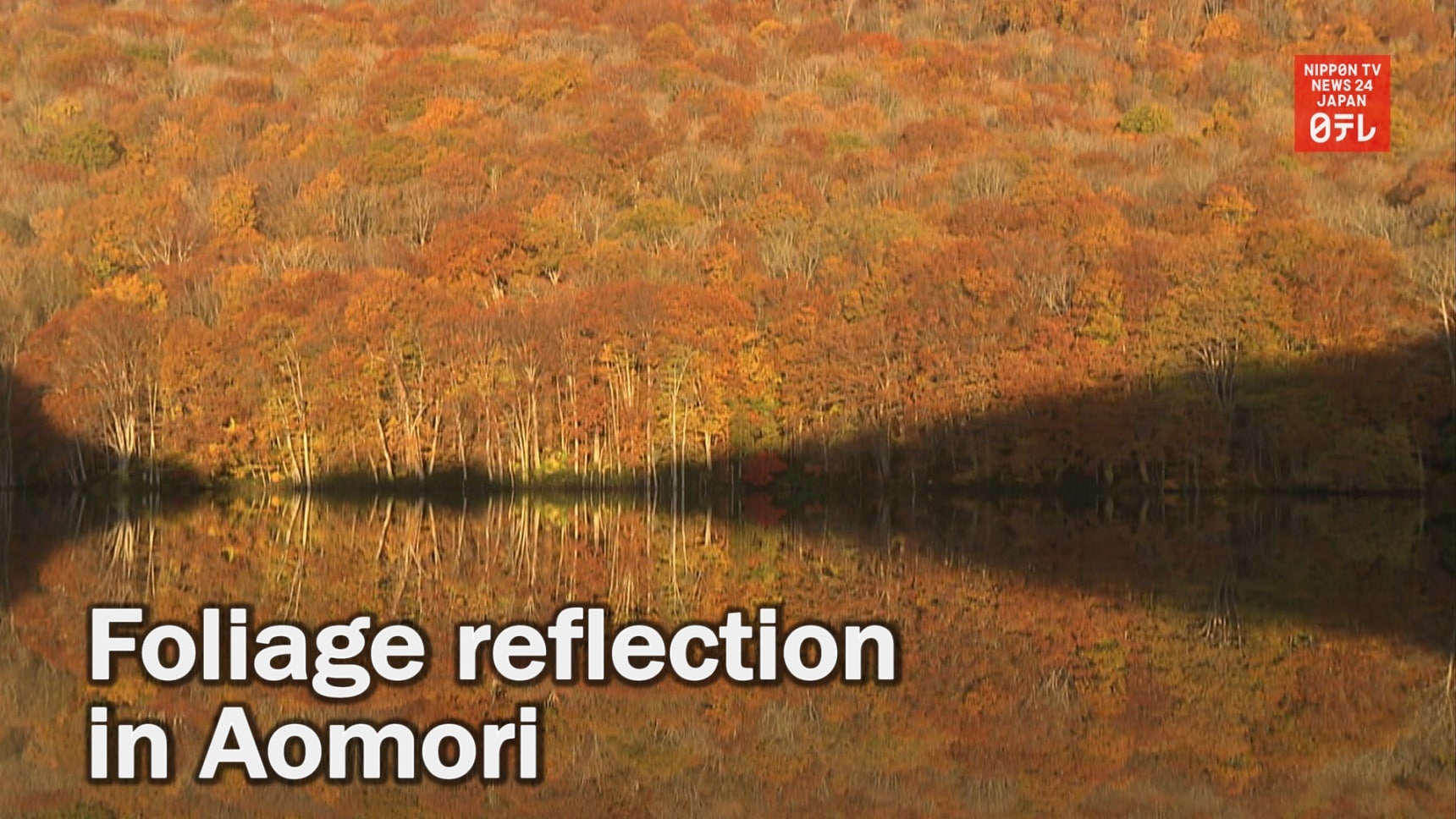 Hakkoda's Crystal Clear Foliage Reflection