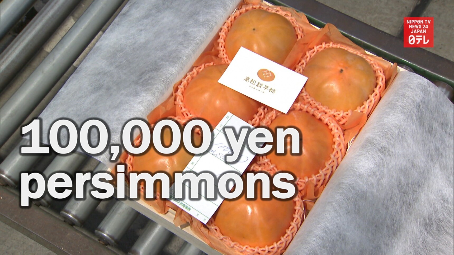 Persimmons: Only $1,000 Each!