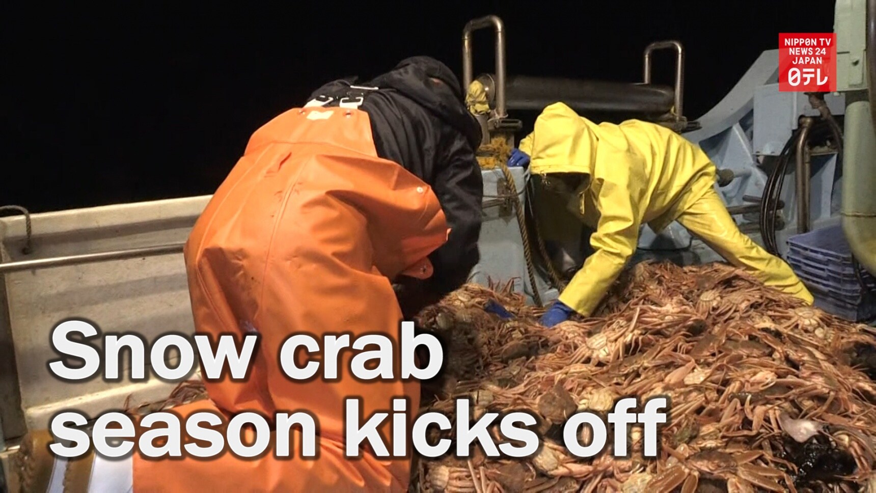 Snow Crab Season Starts in Central Japan