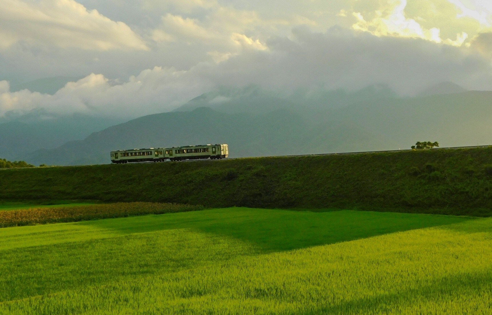 日本山梨:离天空最近——八岳高原列车小海线之旅
