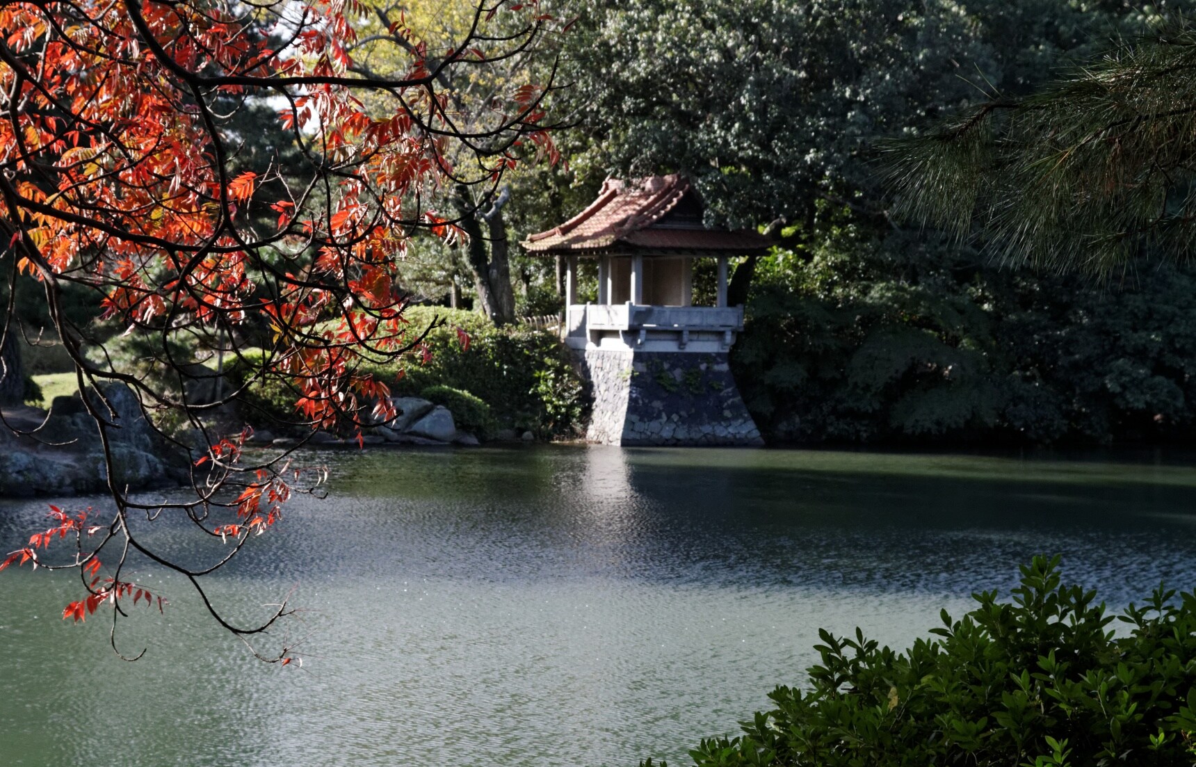 File:Paradise Falls and pond.JPG - Wikipedia