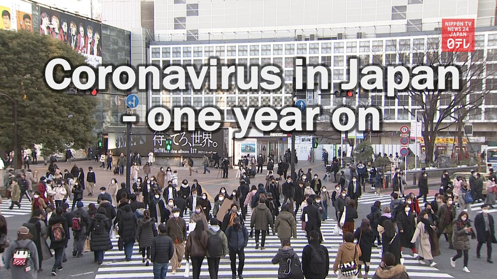 Coronavirus in Japan: 1-Year Later