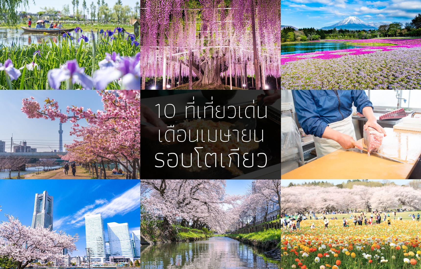 10 ที่เที่ยวเด่นเดือนเมษายนรอบโตเกียว