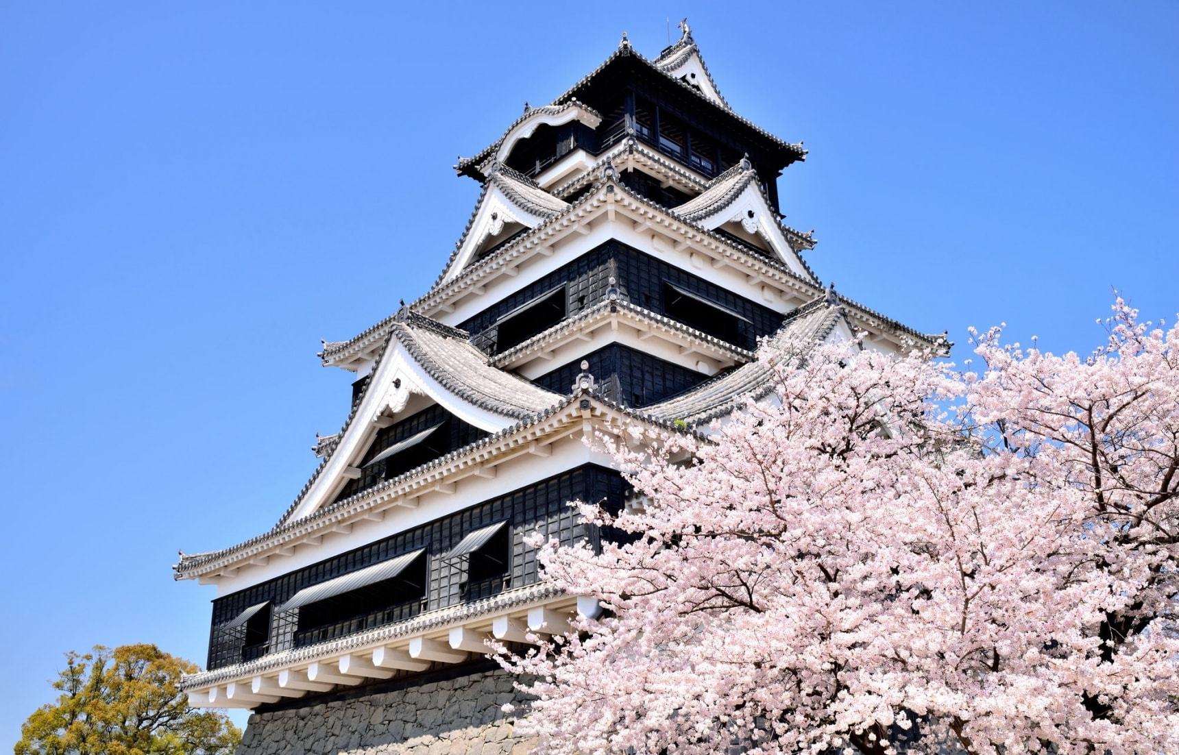 熊本县:樱花季旅行攻略——浪漫日本九州“上天下海”之旅